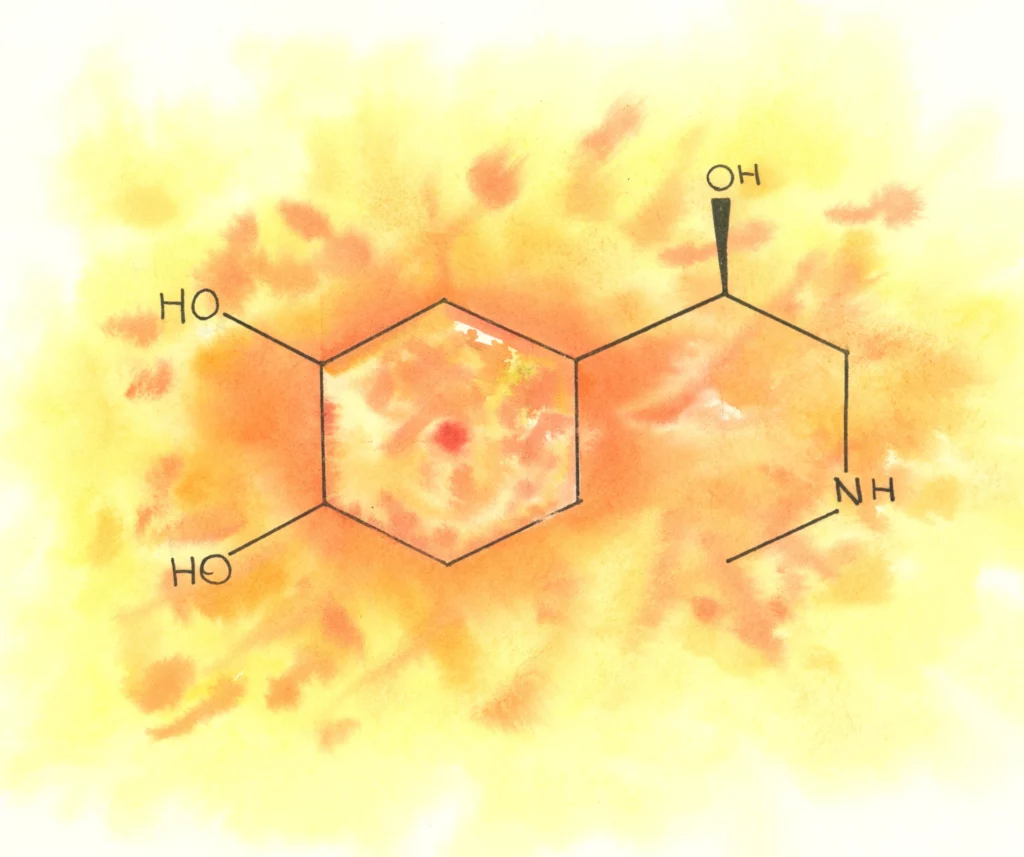 A technical chemical structure of the Epinephrine molecule drawn in black ink over a vibrant, explosive watercolor background of yellow, orange, and red tones.